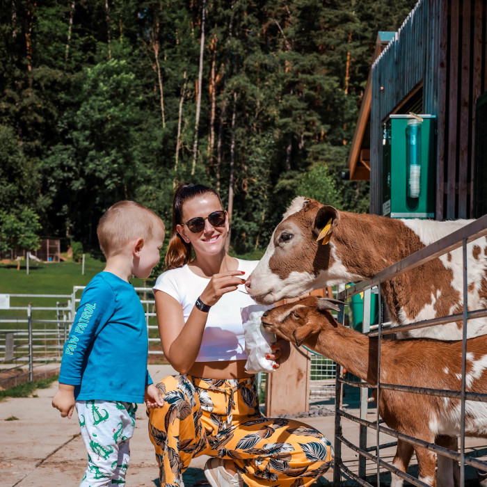 BABYLAND - exteriér